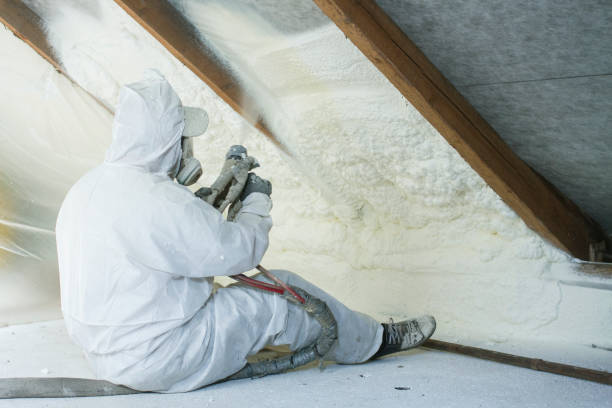 Best Attic Insulation Installation in Temecula, CA